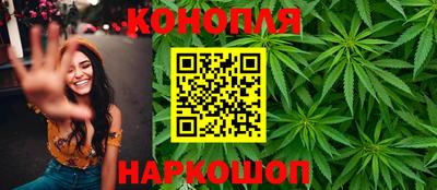крисы Заводоуковск